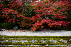 天授庵の紅を切り撮る。　Ⅲ