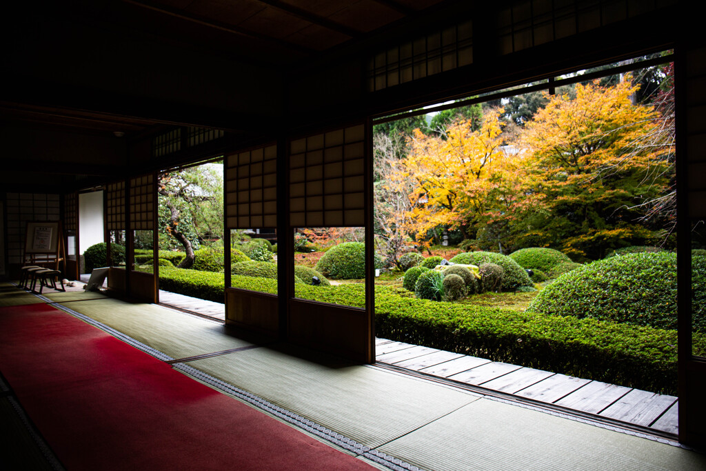 雲龍院で紅葉を愛でる　Ⅳ