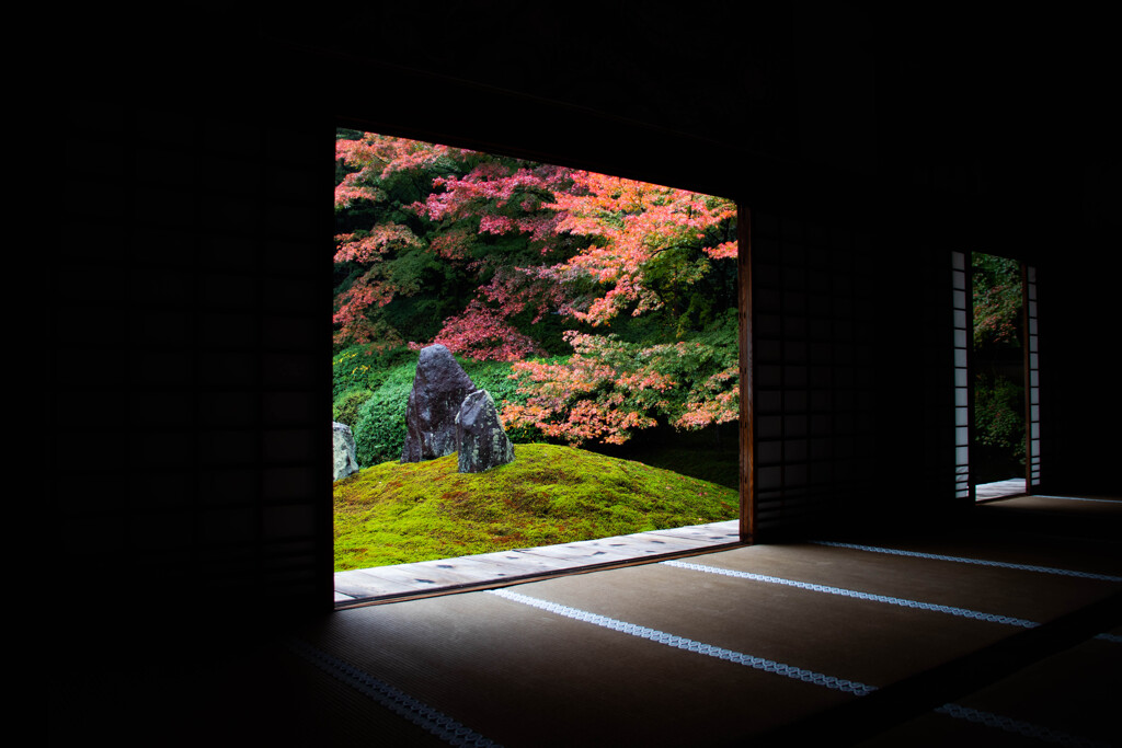 光明院で紅葉を愛でる　Ⅲ