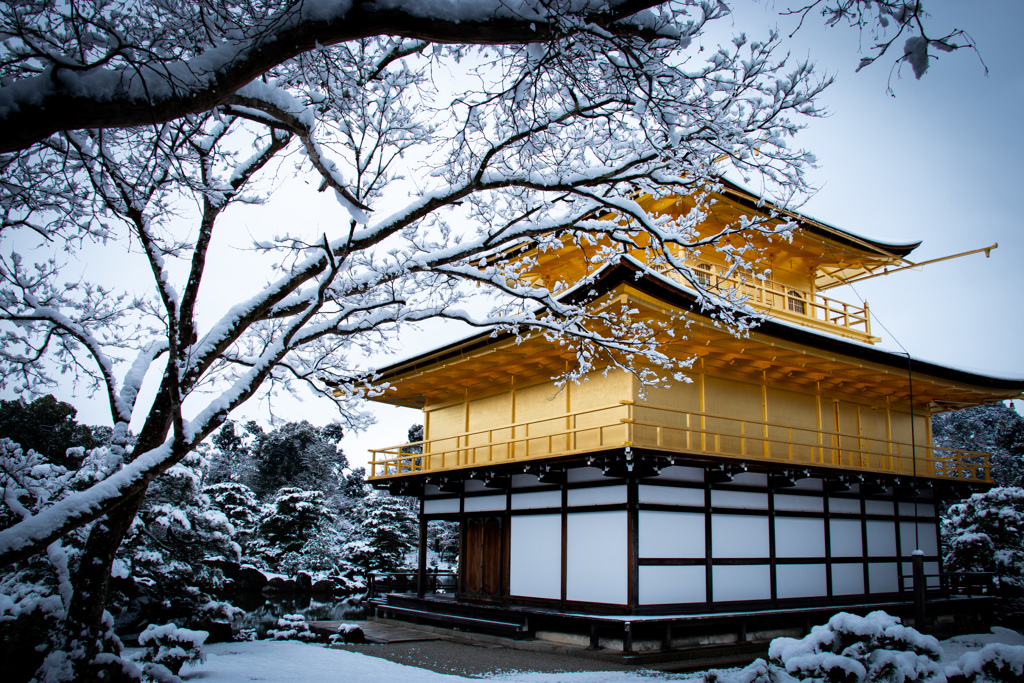 『雪の花咲く金閣寺』