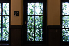 元龍池小学校の踊り場の窓