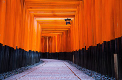 千本鳥居