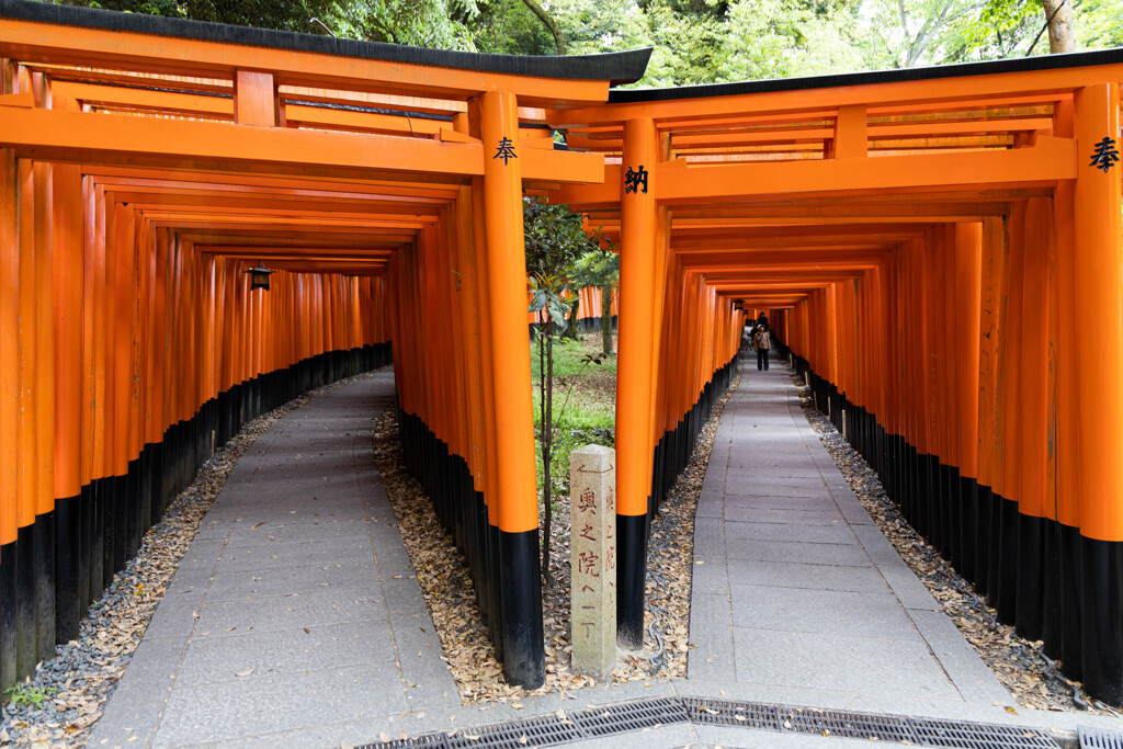 千本鳥居を撮る。③