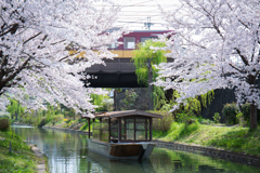伏見の春景色　Ⅷ