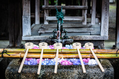 藤森神社のおもてなし。