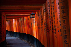 悠久の道　Ⅱ