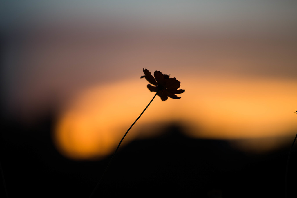 暑かった日の夕暮れ