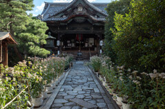 革堂 行願寺