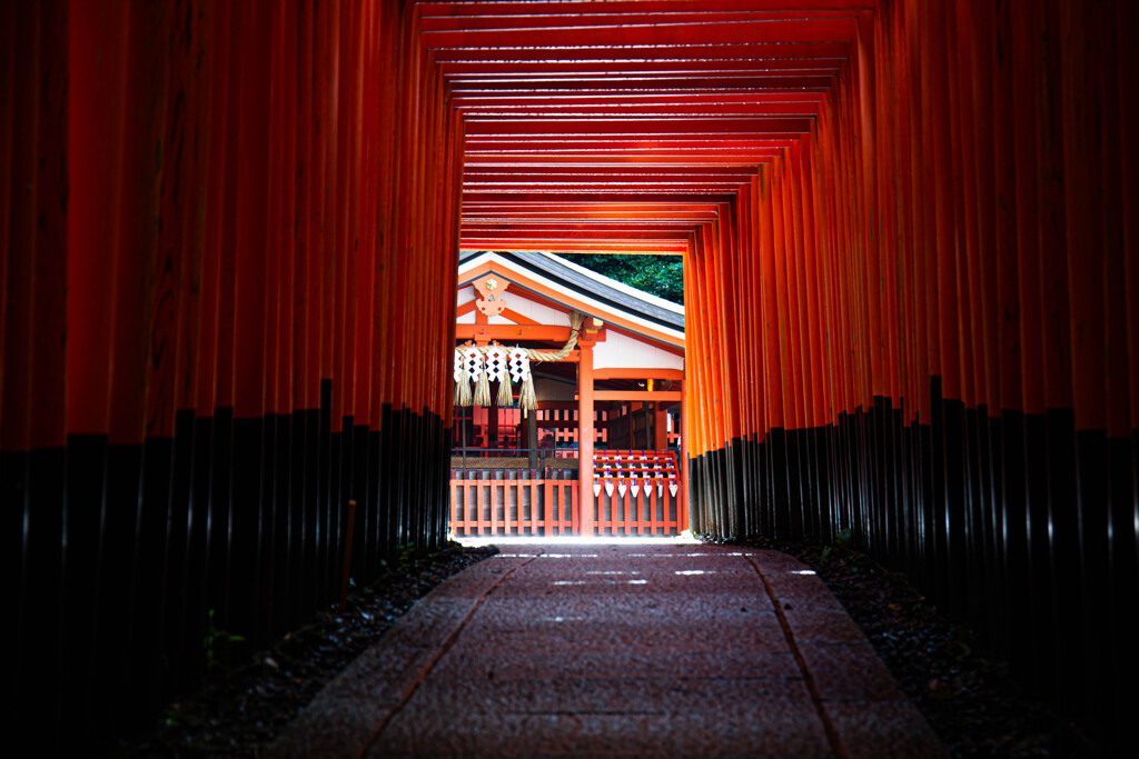 千本鳥居を抜けて　Ⅲ