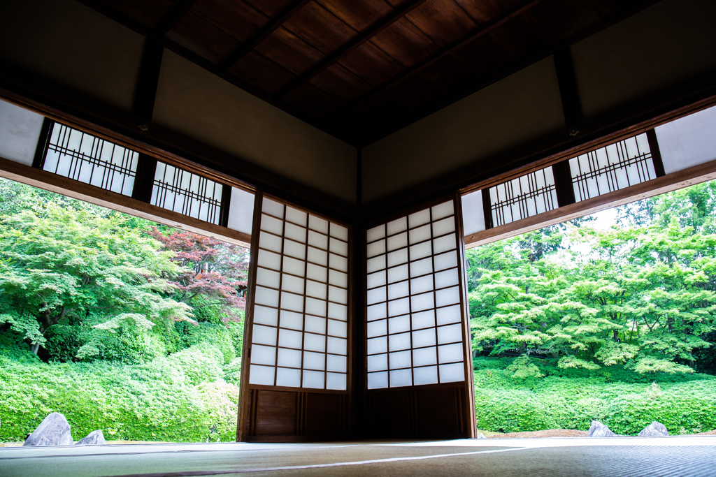 波心庭の青もみじを愛でる。　Ⅱ