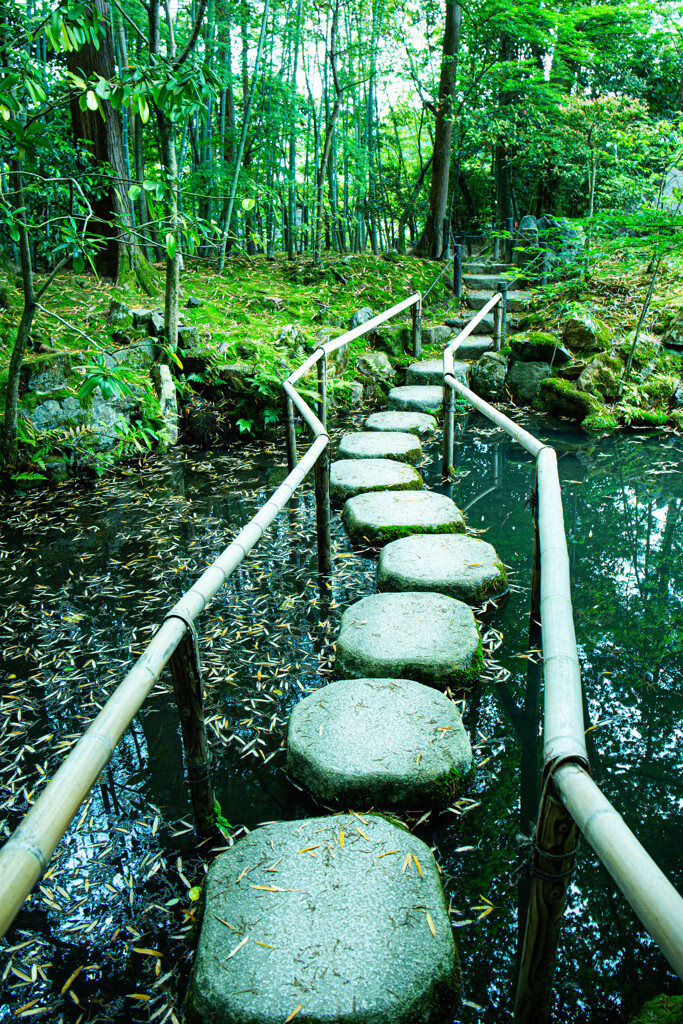 天授庵・池の庭園にて