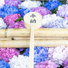 おもてなしの花