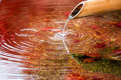 一休寺の紅　Ⅱ