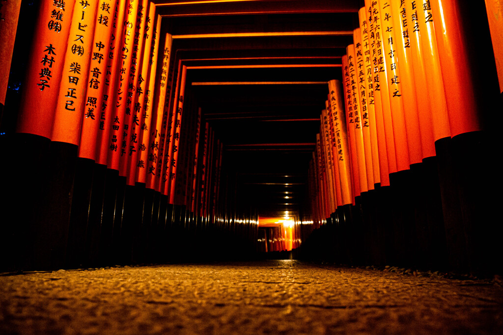 夜の千本鳥居　Ⅵ