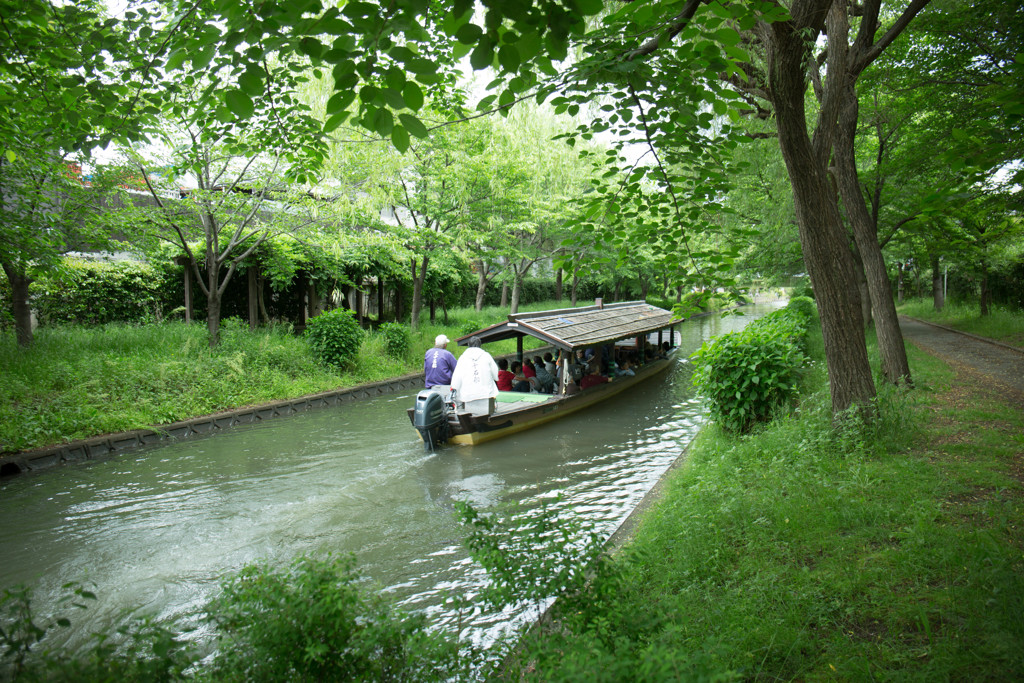 『新緑の水路』