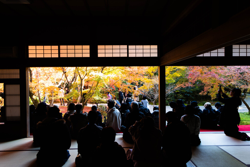 晩秋 それぞれの圓光寺 ②