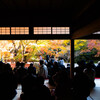 晩秋 それぞれの圓光寺 ②