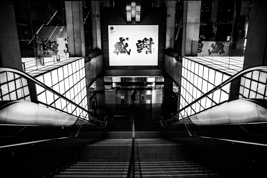 東京国際フォーラムにて　Ⅰ
