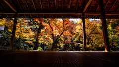 晩秋の圓光寺で　Ⅴ