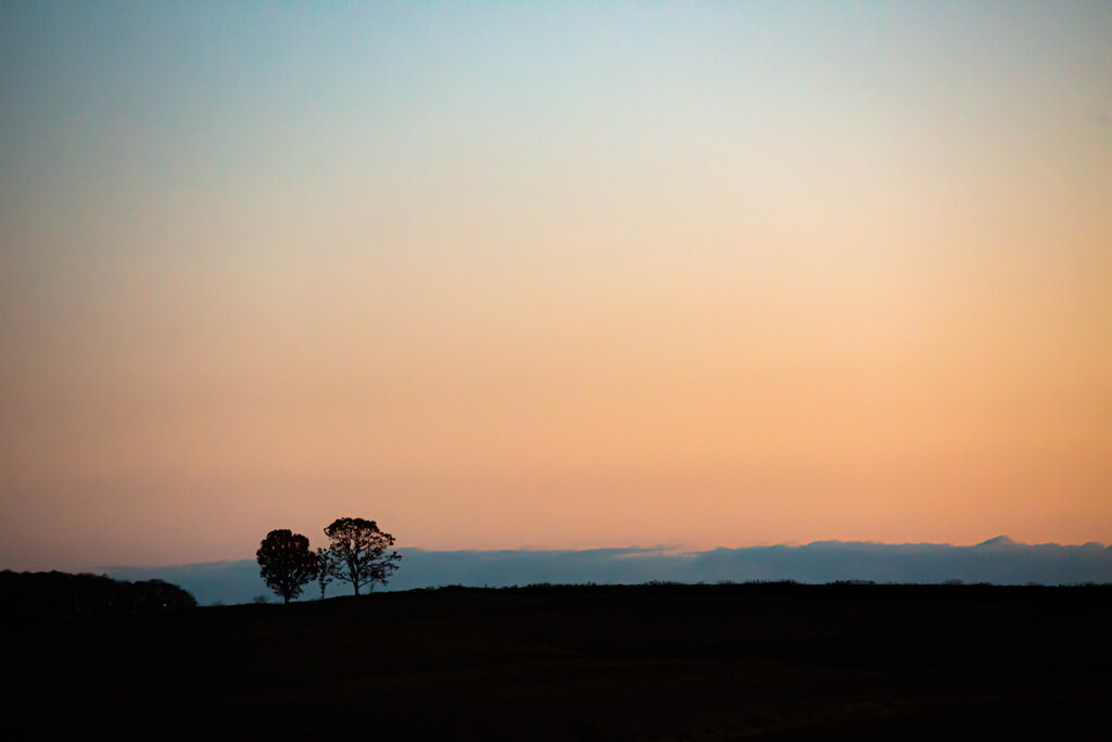 美瑛の夕暮れ　Ⅱ