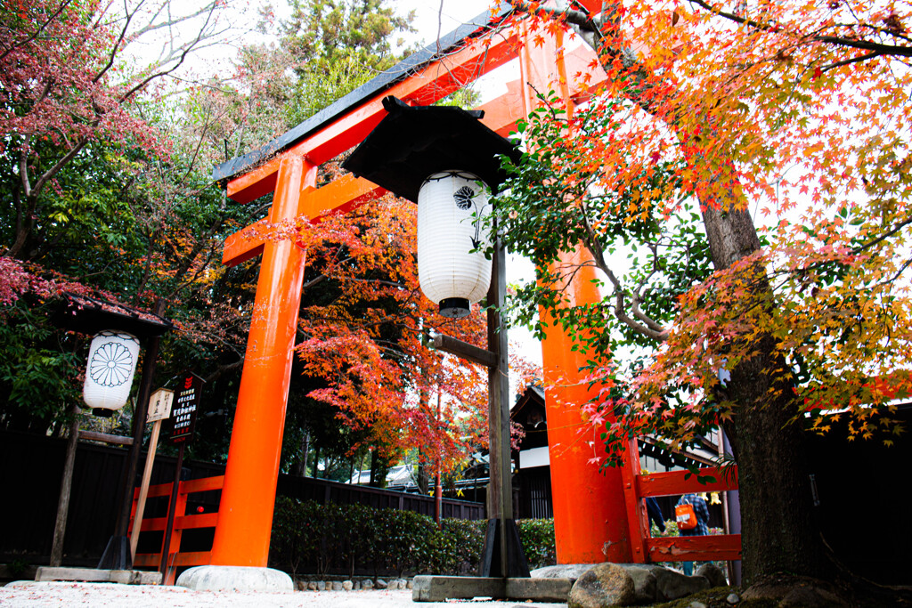 紅葉の下鴨神社で