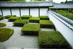 東福寺の市松　Ⅱ