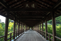 通天橋　－東福寺