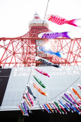 東京タワーと鯉のぼり