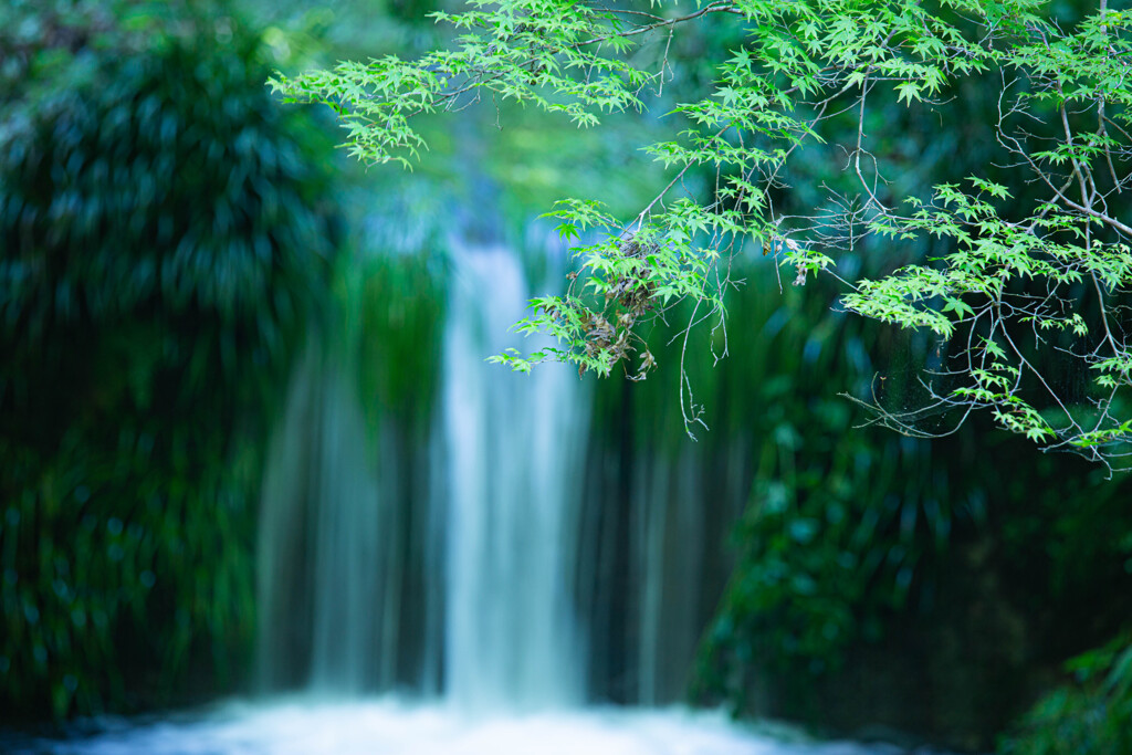 三千院の涼