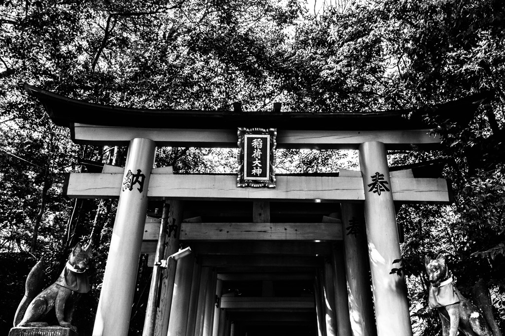 行こうか。行くまいか。