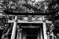行こうか。行くまいか。
