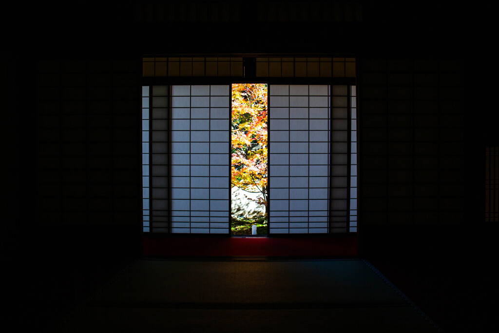 雲龍院悟りの間で愛でる紅葉