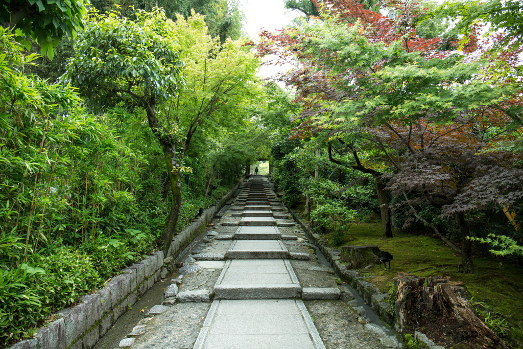高台寺の台所坂