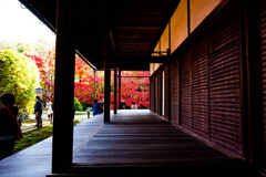 天授庵で愛でる紅葉　Ⅶ