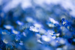 BLUE HEAVEN