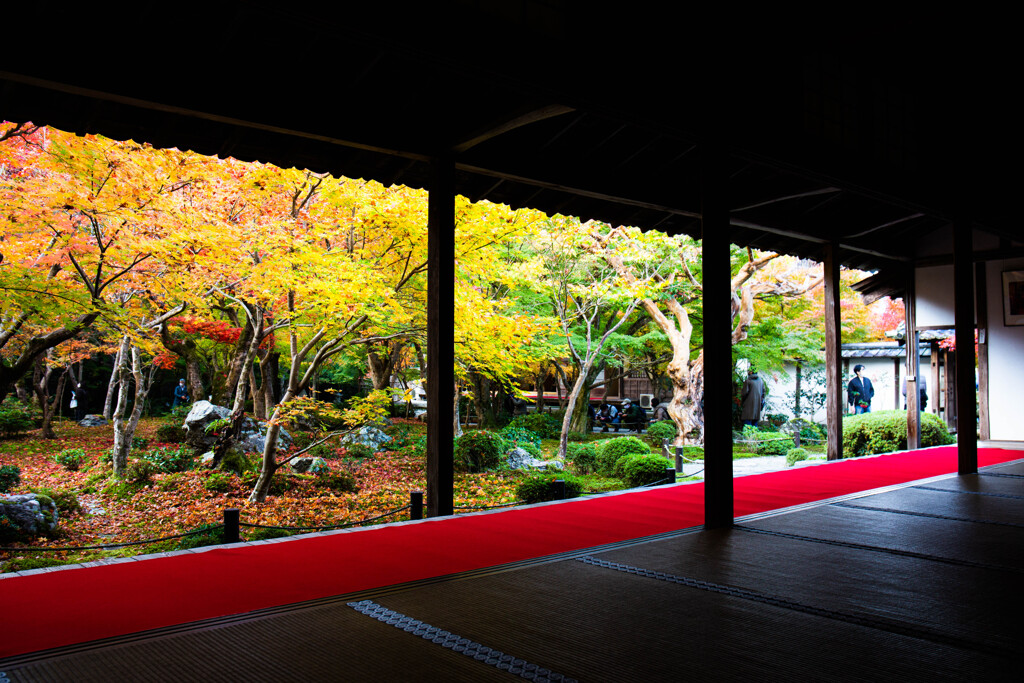 圓光寺の紅葉を切り撮る　Ⅰ