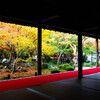 圓光寺の紅葉を切り撮る　Ⅰ