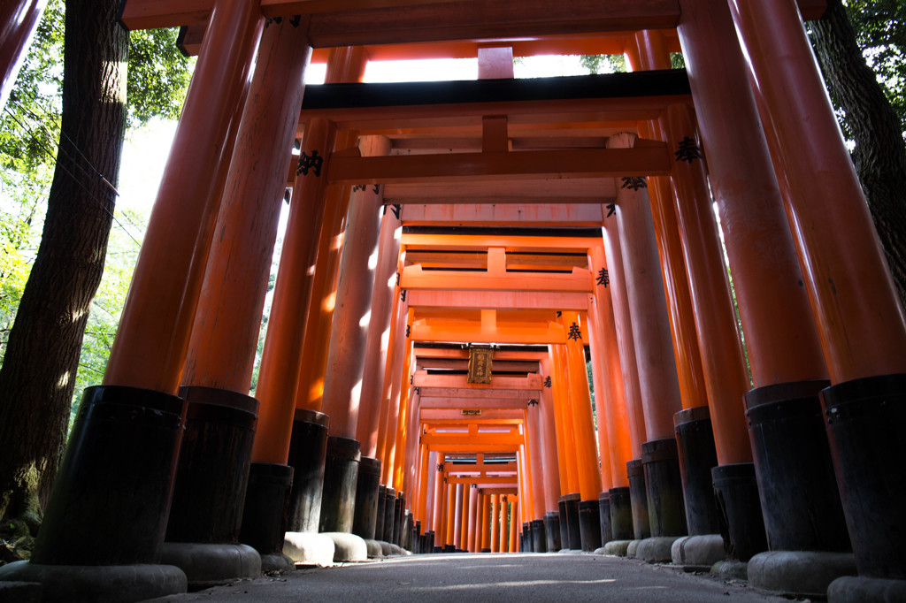 朝の千本鳥居　Ⅲ