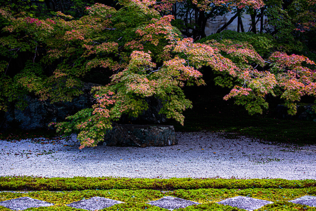 天授庵庭園の秋　Ⅲ