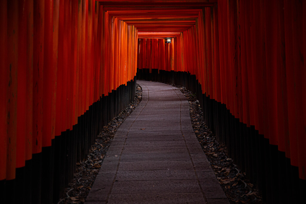 千本鳥居で　Ⅲ