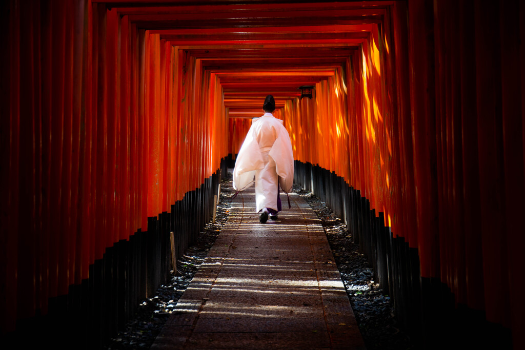 朝、千本鳥居で。