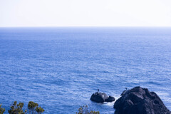 本州最南端で釣りに挑む人･･･