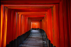 朝の千本鳥居にて　Ⅴ