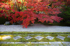 天授庵で愛でる紅葉　Ⅲ