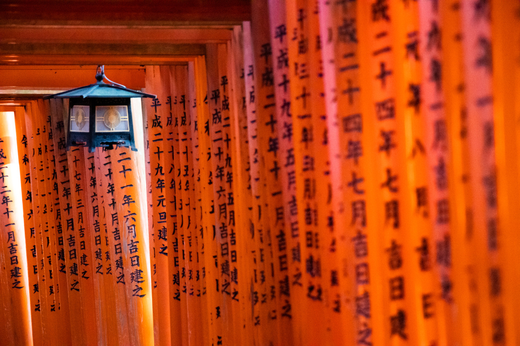 千本鳥居　Ⅱ