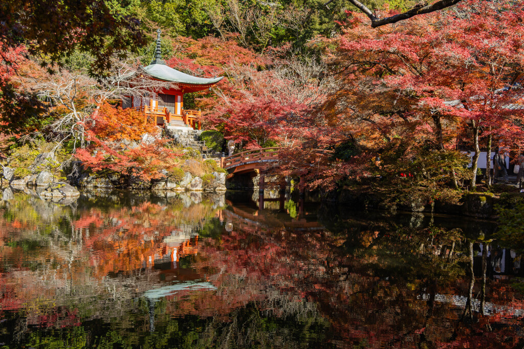 紅葉に包まれる醍醐寺弁天堂