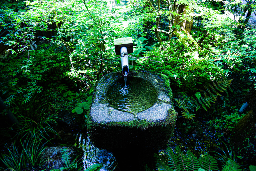 三千院の手水鉢　Ⅰ