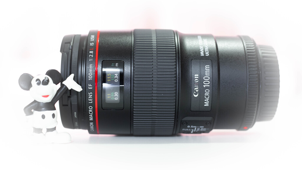 我が家のニューフェイス