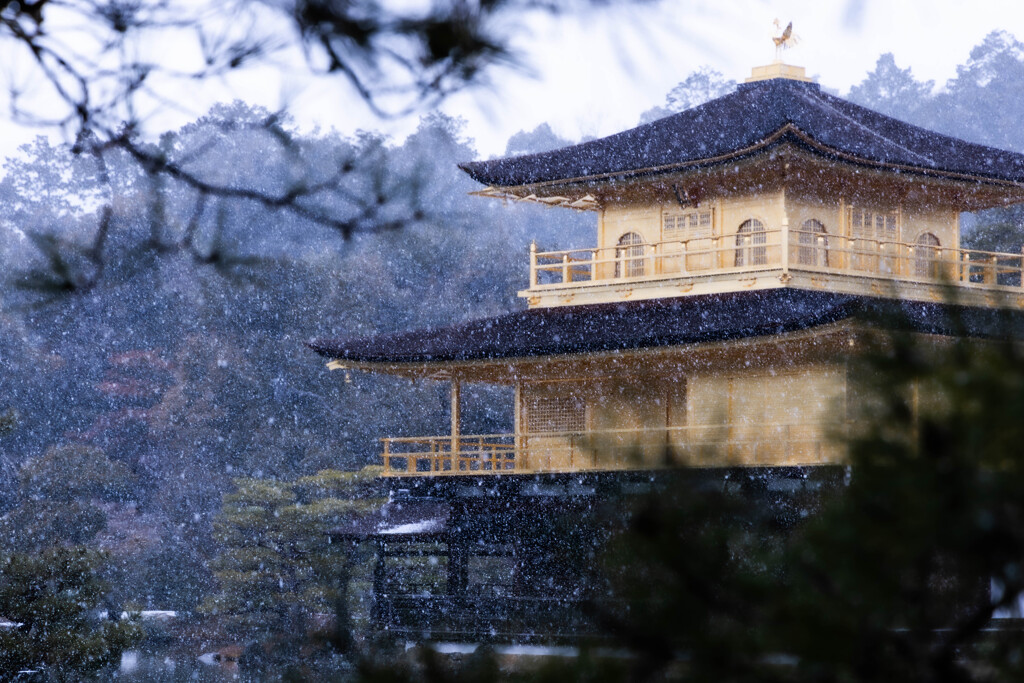 冬の金閣寺　Ⅱ