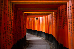 朝の千本鳥居　Ⅴ